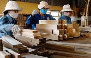Wood industry Vietnam